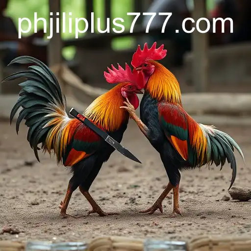 Sabong Games: Tradition Meets Modernity